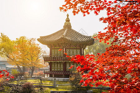 韩国首尔京博肯宫秋天艺术场景花园历史性天空地标建筑建筑学木头旅行图片