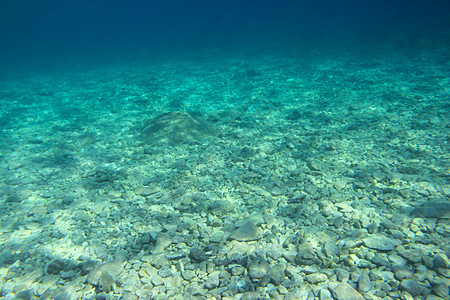 水下海洋观察背景蓝色海景太阳海滩绿色卵石波纹热带射线海浪图片
