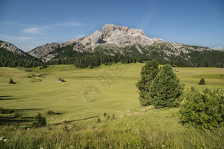 阿尔卑斯山脉的全景图片