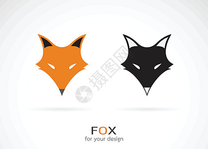 狐狸在白色背景上面部设计矢量 野生动物 F图片