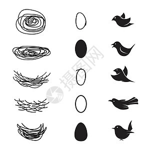 鸟巢 鸡蛋和白底鸟类的矢量图片