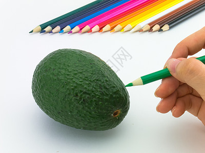 看上去像是在白色背景上画水果和蔬菜一样植物橙子黄色蓝色草图健康铅笔绿色食物创造力图片