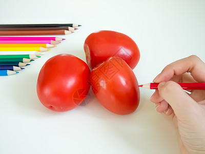 绘图番茄绘画白色黄色铅笔彩色橙子植物蜡笔草图蔬菜图片