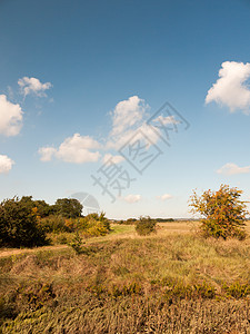 开阔的沼泽地风景 蓝天空 云彩和草原海洋阳光支撑公园日落旅游沼泽土地日出草地背景图片