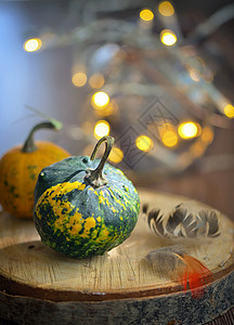 小南瓜的秋天装饰季节橙子落叶食物手指木头素食者国家蔬菜黄色图片