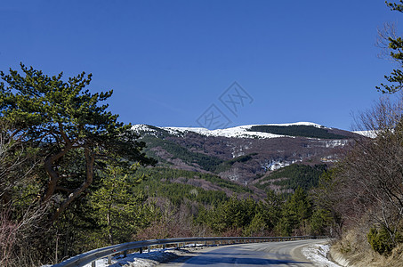 维托沙山带路的松树和枯萎森林冬季全景景观天空阴影阳光蓝色木头爬坡山毛榉天气衬套季节图片