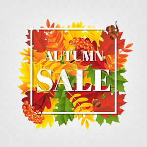 秋季促销横幅价格橡子树叶营销橡木叶子浆果标签店铺季节图片