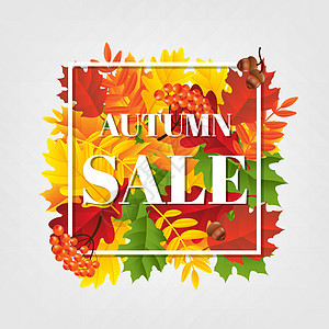 秋季促销横幅价格橡子树叶营销橡木叶子浆果标签店铺季节背景图片