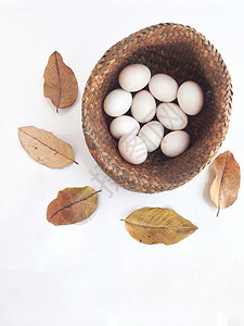 吃鸡蛋以干叶制成的烤箱中的鸭蛋背景