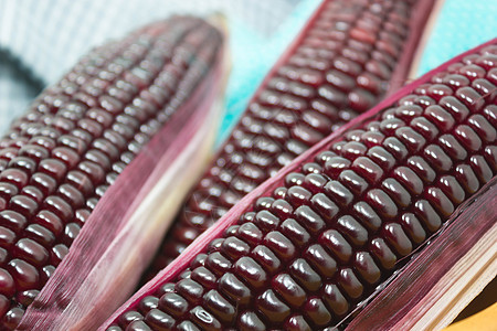 紫色甜玉米 美丽谷物健康之粮的Colorfu照片收成产品饮食水果维生素果汁粮食食物小吃团体图片
