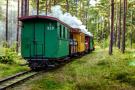 狭长铁路上的火车窄轨引擎旅客运输机车绿色蒸汽历史孩子教练图片