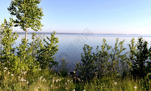 湖边木头反射土地天空地平线旅行场景全景海岸草地太阳图片
