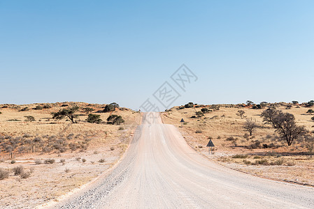 C17     纳米比亚卡拉哈里南部的C17公路横跨过度生长的沙滩图片