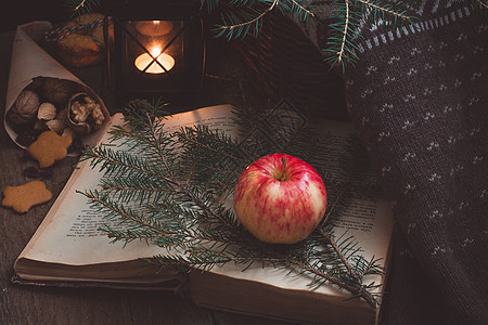 圣诞树枝上的红苹果和黄苹果 还有一本旧书 在黑灯笼或蜡烛手旁边生态幼苗艺术页数小屋知识文学毛衣情绪木头图片
