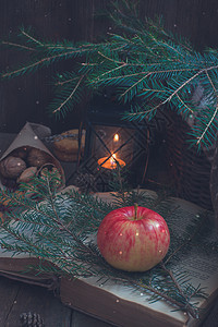 圣诞树枝上的红苹果和黄苹果 还有一本旧书 在黑灯笼或蜡烛手旁边学习羊毛生态山脉艺术植物智慧情绪木头文学图片