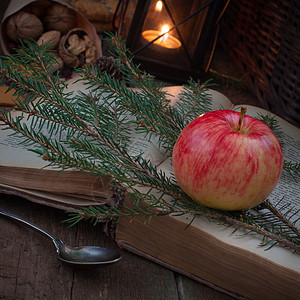 圣诞树枝上的红苹果和黄苹果 还有一本旧书 在黑灯笼或蜡烛手旁边学习幼苗生态植物山脉页数文学木头情绪艺术图片