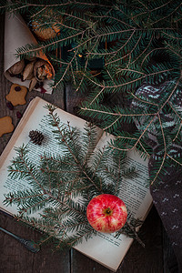 圣诞树枝上的红苹果和黄苹果 还有一本旧书 在黑灯笼或蜡烛手旁边文学页数知识情绪木头山脉艺术学校植物群羊毛图片