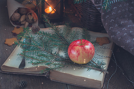 圣诞树枝上的红苹果和黄苹果 还有一本旧书 在黑灯笼或蜡烛手旁边幼苗学习生态毛衣页数植物床单小屋教育木头图片