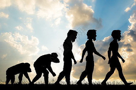 人类进化日落插图起源古生物学历史灵长类动物智人科学卡通片图片
