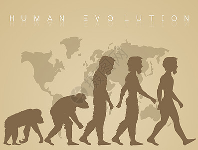 人类进化智人历史插图世界灵长类科学起源卡通片地球古生物学图片