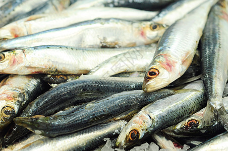 鱼类市场食物海鲜图片
