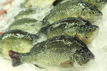 鱼类市场食物鲈鱼海鲜图片