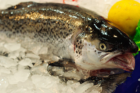 鱼类市场柠檬食物鲑鱼海鲜图片