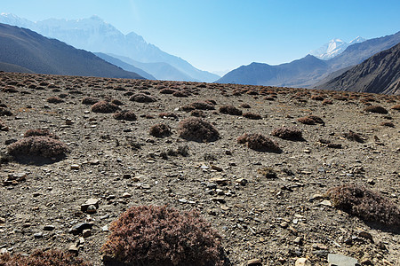 具有植被岛屿的山地平原高原踪迹旅游地质顶峰蓝色阴霾地面天空地球山路图片