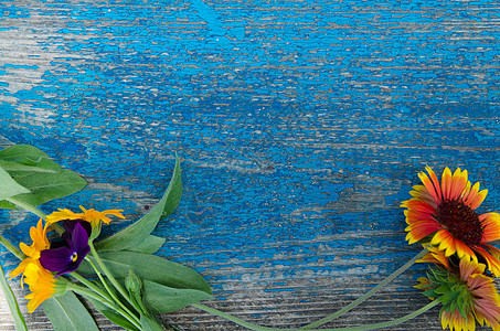 沿着有裂纹的木制彩绘蓝板周边的花朵图片