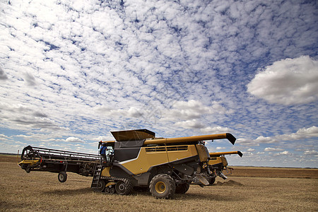 加拿大萨斯卡切万收成地平线场地农场黄色农业农村乡村草原图片