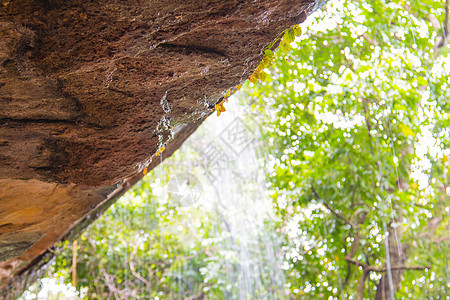 岩石上瀑布的瀑布风景植物森林石头旅行全景溪流丛林墙纸流动图片