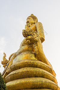 大佛像周围的佛像 侧面观景象雕像精神文化佛教徒宗教信仰雕塑金子图片