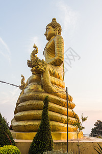 大佛像周围的佛像 侧面观景象宗教精神文化佛教徒信仰金子雕塑雕像图片