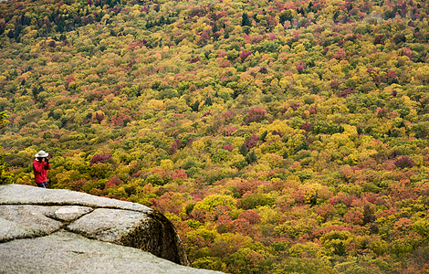 美丽的秋叶花游客红色国家树叶岩石森林叶子瀑布塘小路风景图片