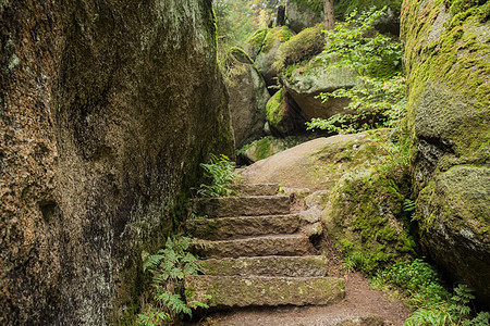 森林中巨大的岩石旅游松树公共公园场景山坡旅行植物花岗岩小路人行道图片