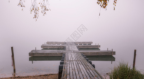 清晨有雾在湖中风景太阳钓鱼季节薄雾森林日落农村阴霾湖泊图片