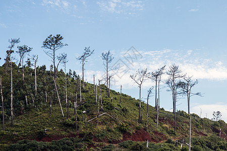 马德拉的沿海景观海洋吸引力地区天气海岸线植被旅行多云海岸绿色图片