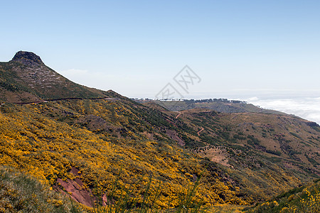 地貌孤独黄色高原蓝色天空植物群荒野爬坡图片