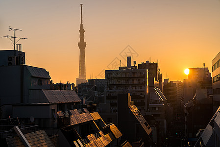 东京天树日出太阳游客墨田日落晴空城市风景浅草建筑学商业图片