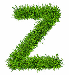 草字母表的字母  3d 它制作图案植物草地案件季节字体绿色艺术叶子生长生态图片