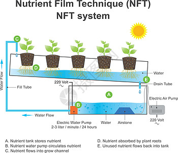 营养胶片技术是一种水栽法技术 教育内容f组织水培树干植物管道生长菜园维生素食物土壤图片