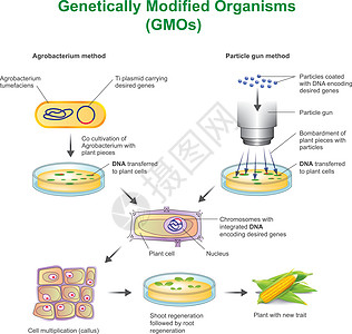 基因改变的生物体图片