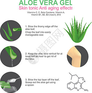 Aloe Vera凝胶 说明图片