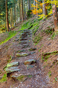 通往公园的石层楼梯森林太阳建筑学季节叶子岩石绿色木头乡村踪迹图片