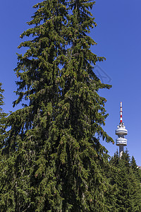 保加利亚 RHODOPE 山顶夏天生活游客登山登山者旅游小路家庭波浪森林树木图片