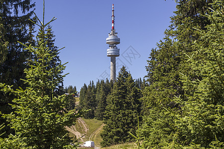 保加利亚 RHODOPE 山顶夏天波浪游客登山登山者家庭电视旅游树木小路森林图片