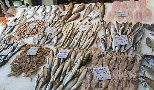 莫迪亚诺市场塞萨洛尼卡鱼章鱼摊位乌贼人群商品店铺板条箱商务历史沙龙图片