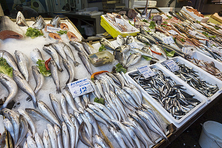 莫迪亚诺市场塞萨洛尼卡鱼章鱼游客沙龙地标渔夫食物商品鱼贩人群乌贼图片