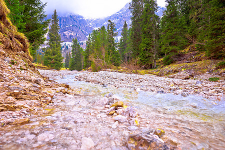 阿尔卑斯山脉的冷山小溪图片