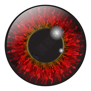 红色iris眼睛符合实际的矢量集设计 在白柱上隔离眼球瞳孔白色蓝色宏观鸢尾花反射艺术视网膜灰色图片